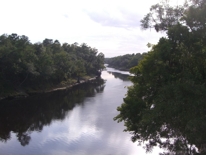 CIMG1733 Suwanee River