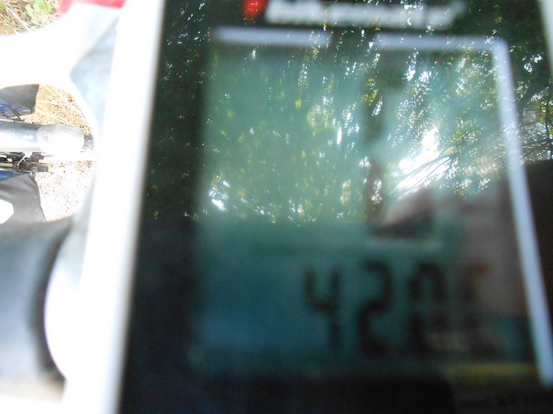 DSCN1463 42 degrees C