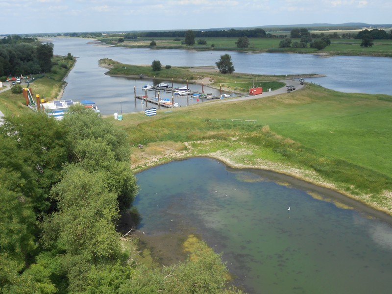 DSCN1494 Elbe bei Arneburg