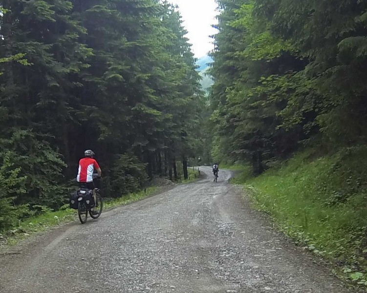 G0050592 Agapia Forest