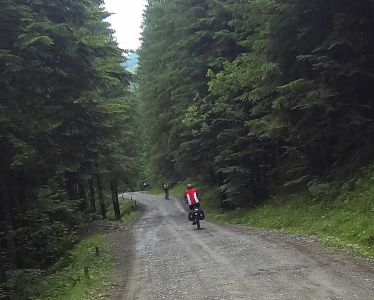 G0060594 Agapia Forest