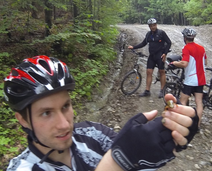 G0110605 Agapia Forest