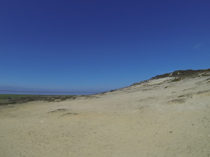 GOPR0560 Morsum Klippe