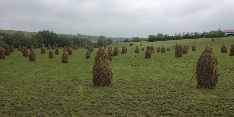 IMG_2762 Agapia Haystacks