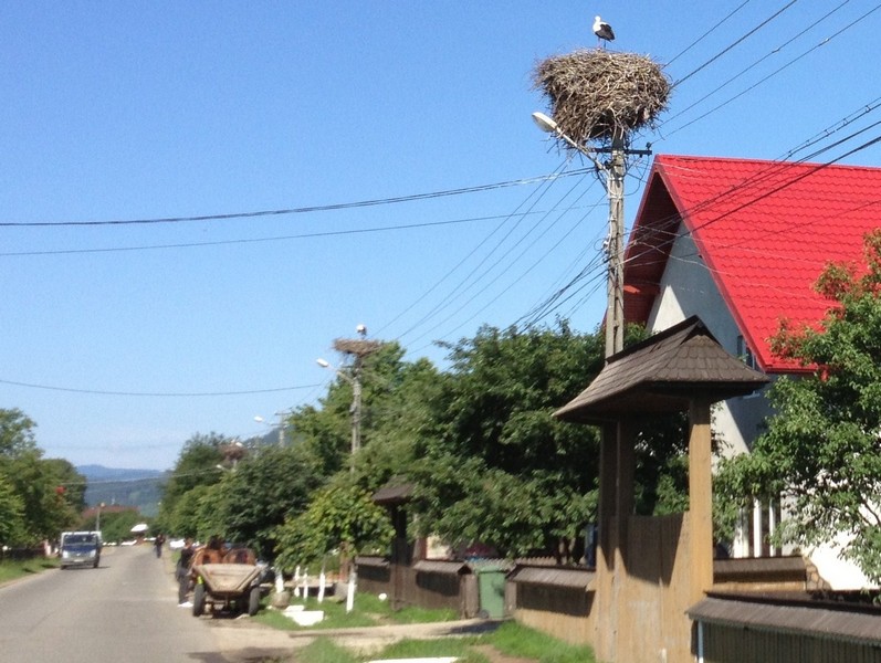 IMG_2817 Bogdan, Laici, Chris Tour