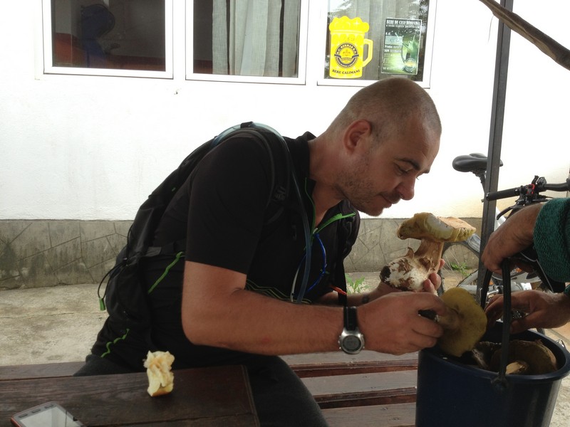 IMG_2846 Laici Mushrooms