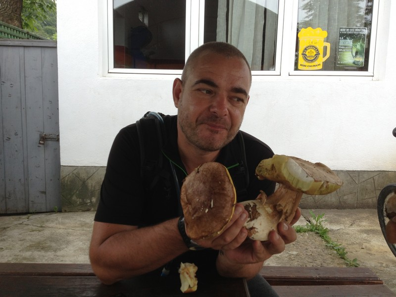 IMG_2847 Laici Mushrooms