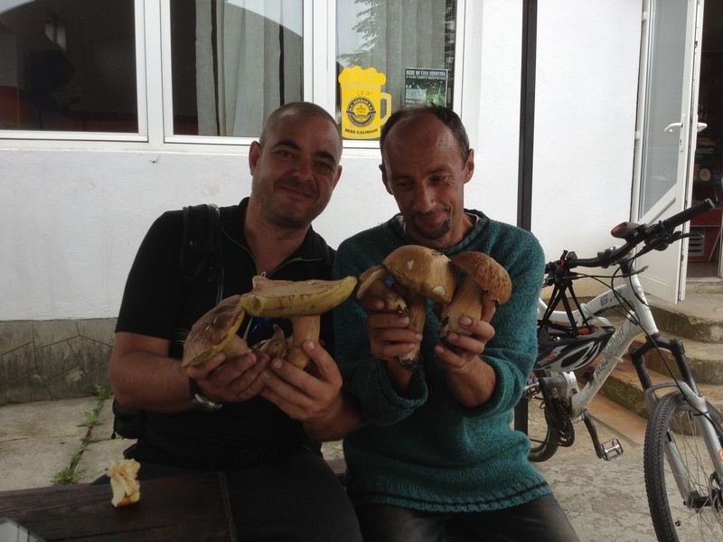 IMG_2848 Laici Mushrooms