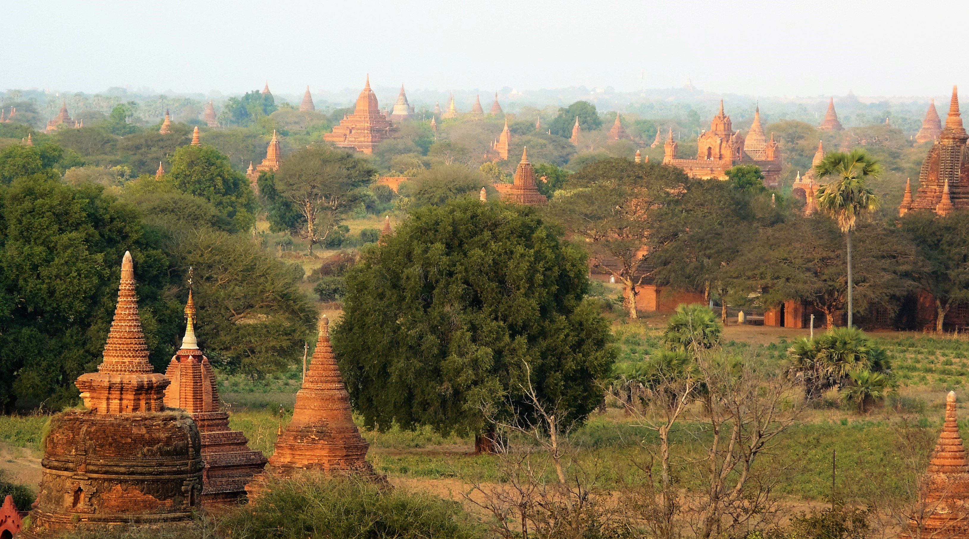 P1100911 Bagan vista