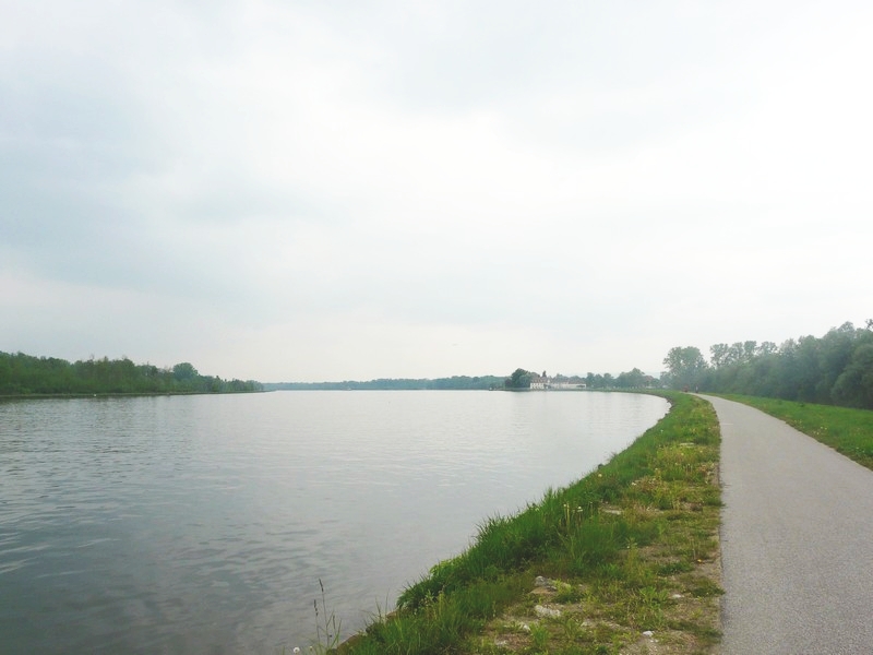 P1110341 Danube near Linz
