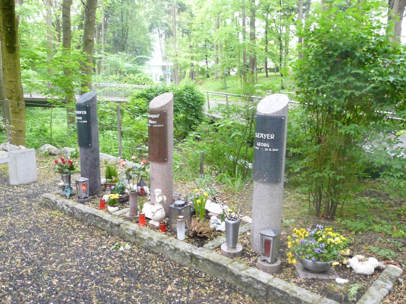 P1110353 Column Graves in Linz