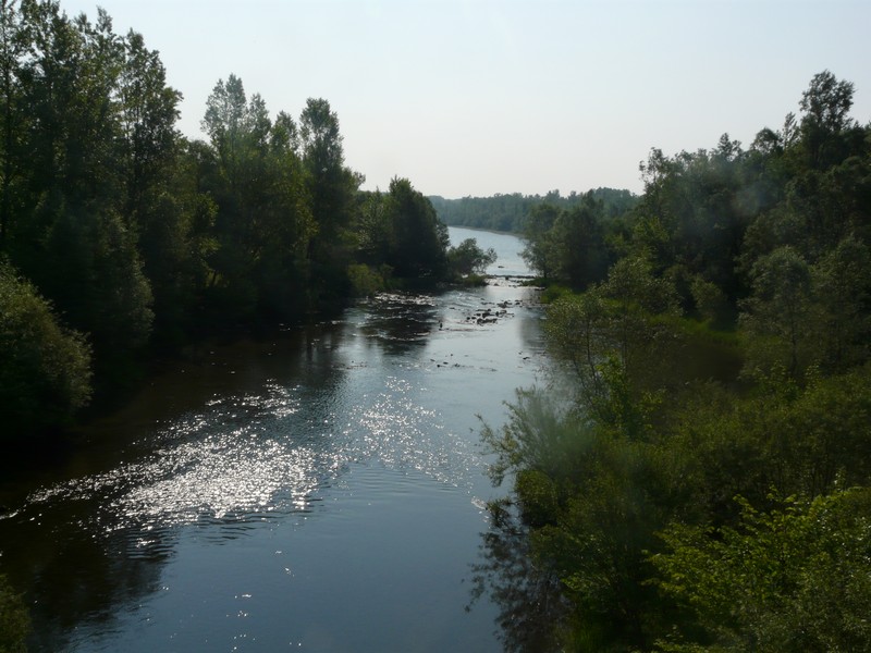 P1110381 East of Linz