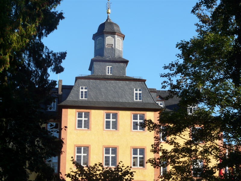 P1130895 castle in Gedern