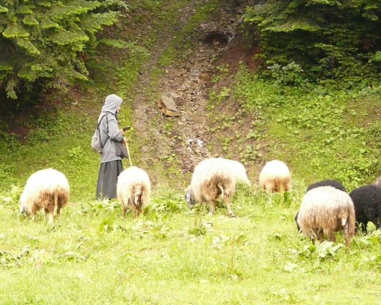 P1200617 Agapia Nun Shepherd
