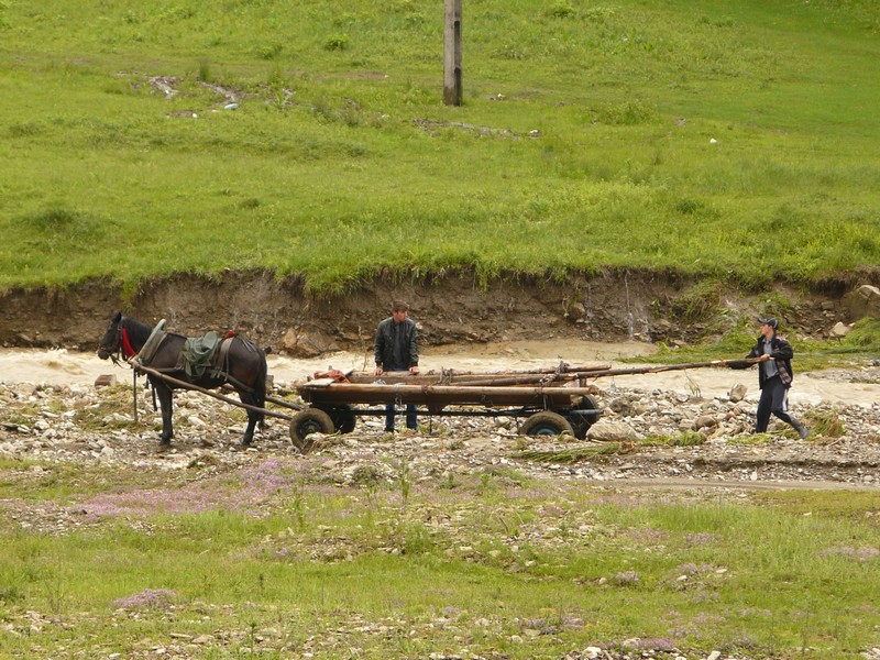 P1200627 Agapia Gathering Wood