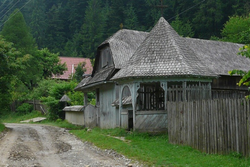 P1200642 Agapia Forest