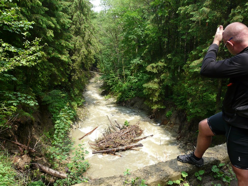 P1200645 Agapia Forest