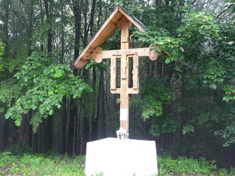 P1200648 Agapia Veche