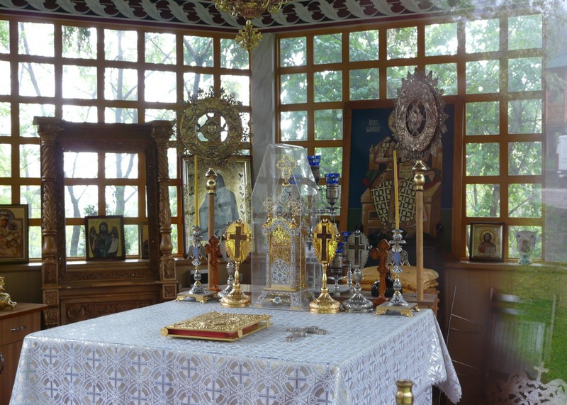 P1200673 Agapia Veche