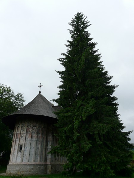 P1200821 Gura Humorului