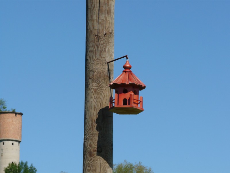 P1200929 Cacica Birdhouse