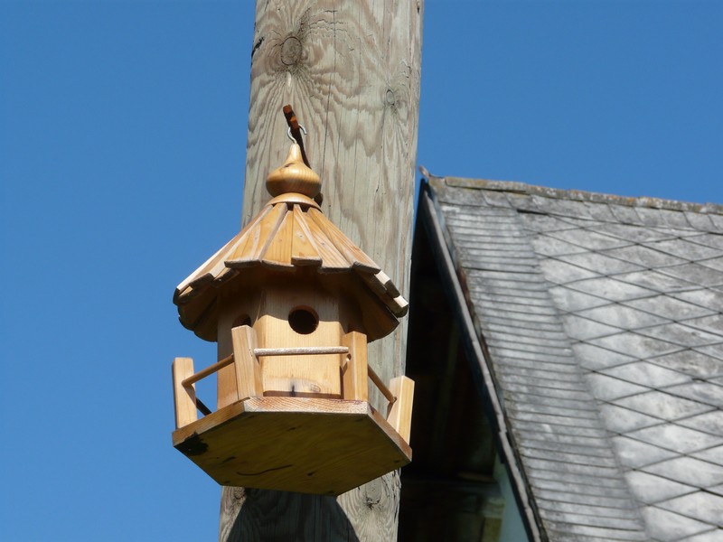 P1200930 Cacica Birdhouse