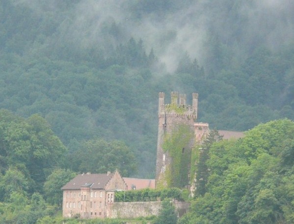 P1210201 Burg in Hirschhorn