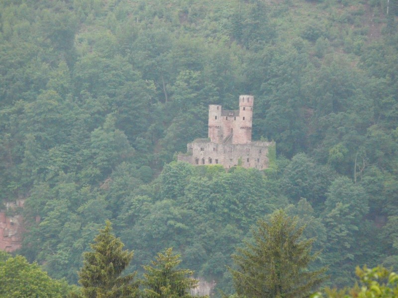 P1210207 Burg in Hirschhorn