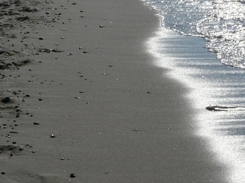 P1240253 Ellenbogen Strand