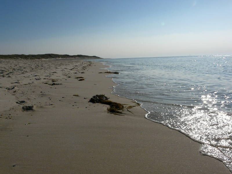 P1240255 Ellenbogen Strand