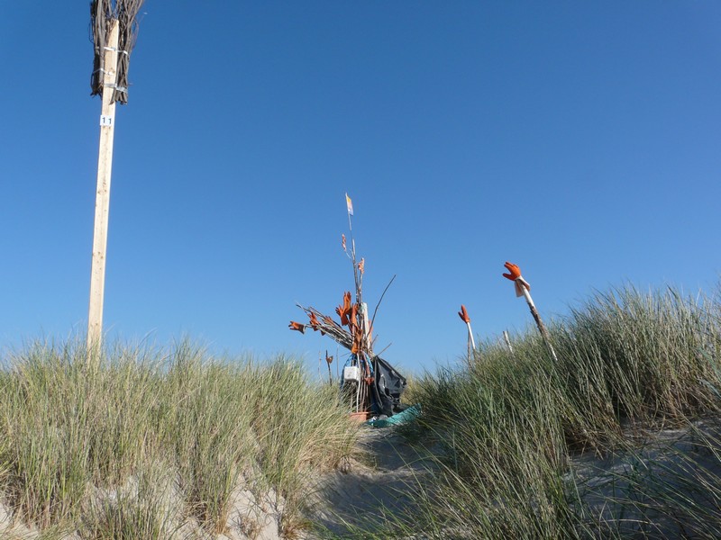 P1240258 Ellenbogen Strand