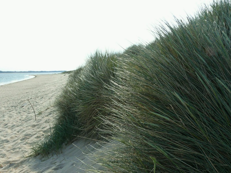 P1240306 Ellenbogen Strand