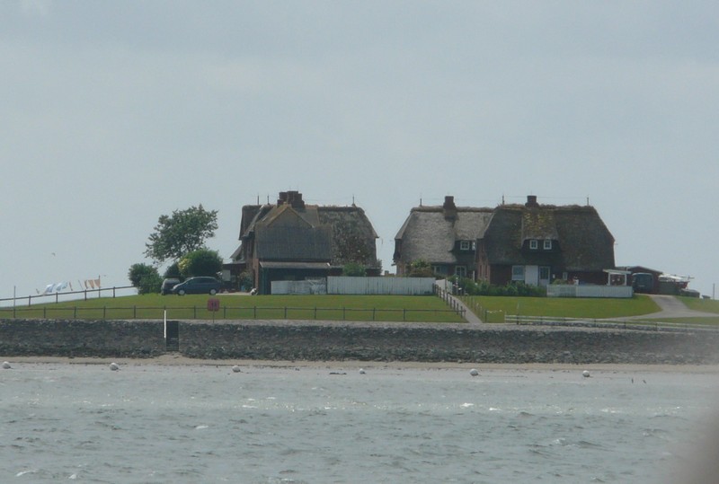 P1240680 Hallig Hooge