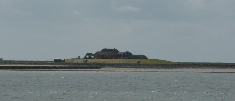 P1240683 Hallig Hooge