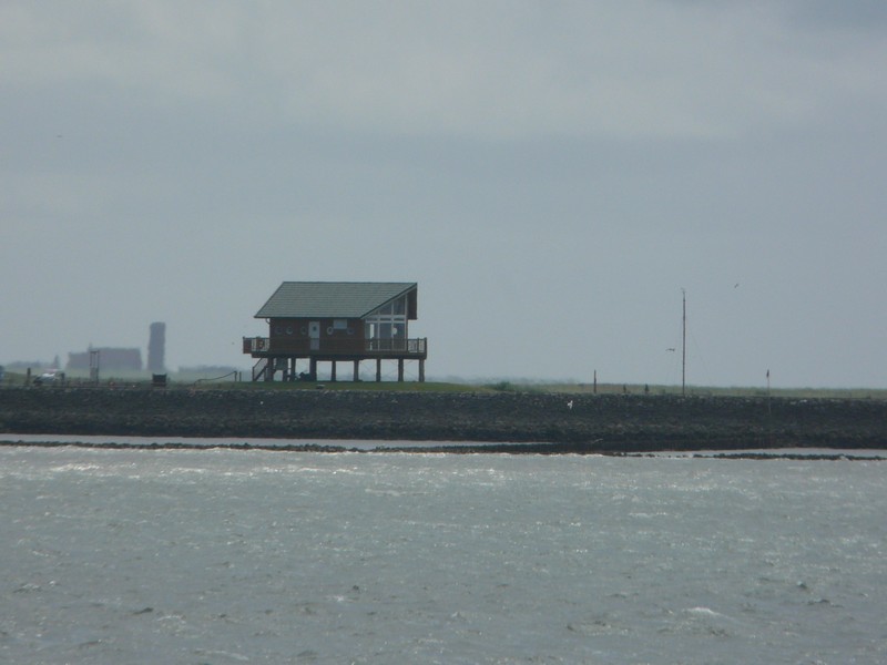 P1240685 Hallig Hooge