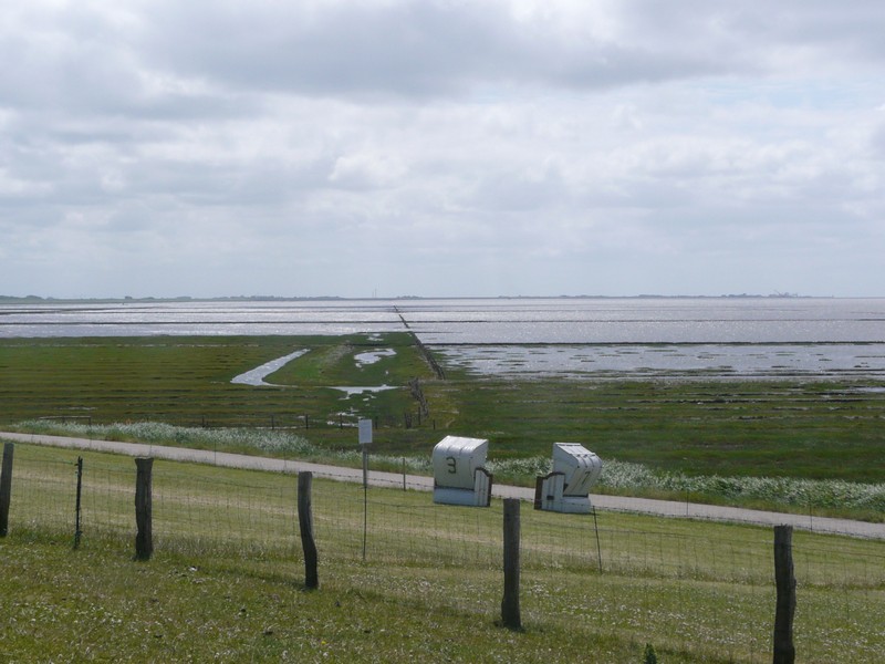 P1240761 Nationalpark Wattenmeer Tinning