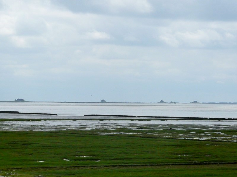 P1240792 Hallig Nordstrand