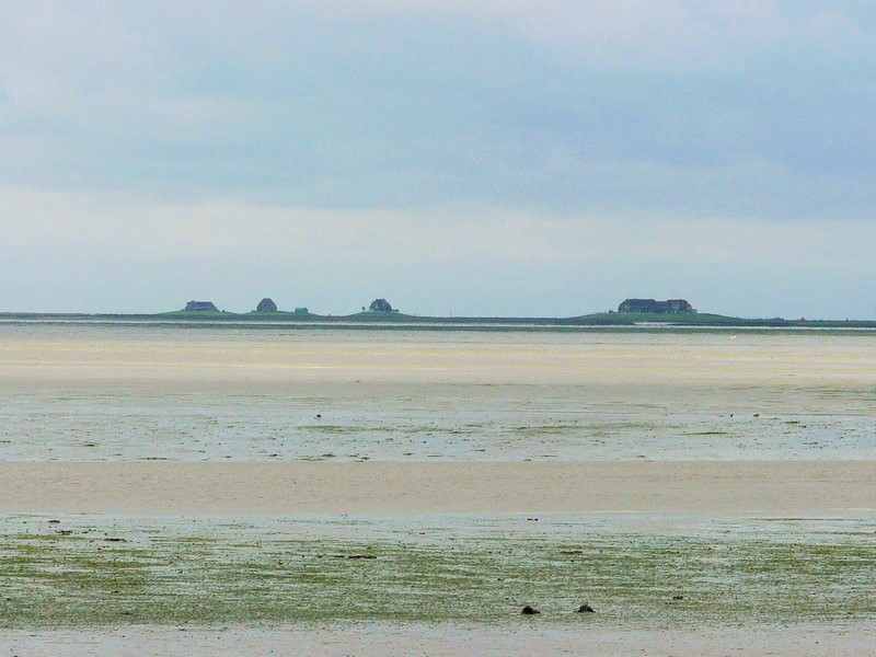 P1240795 Hallig