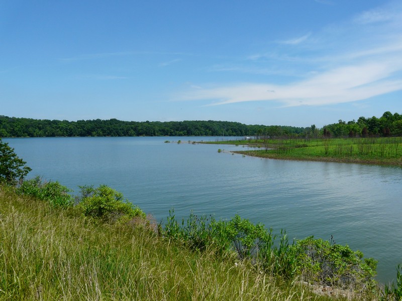 P1270628 Lake Patoka