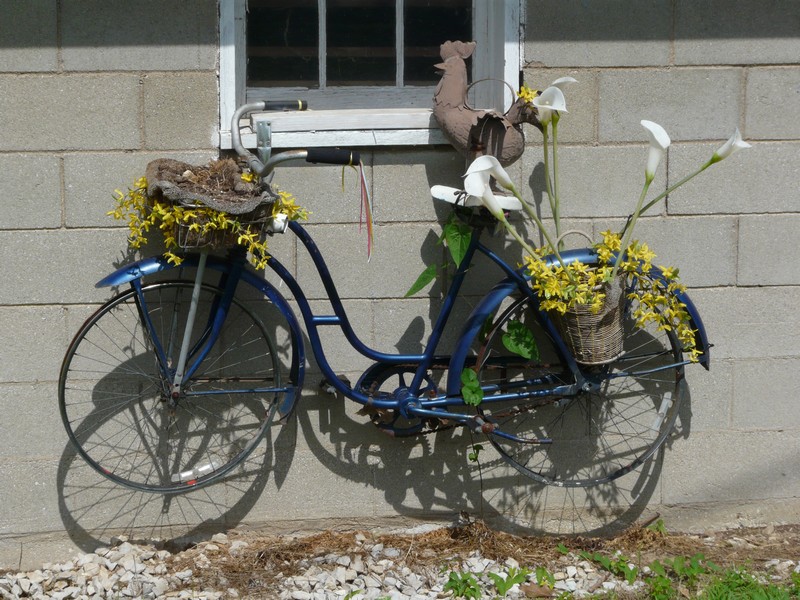 P1270642 7 Hens Farm