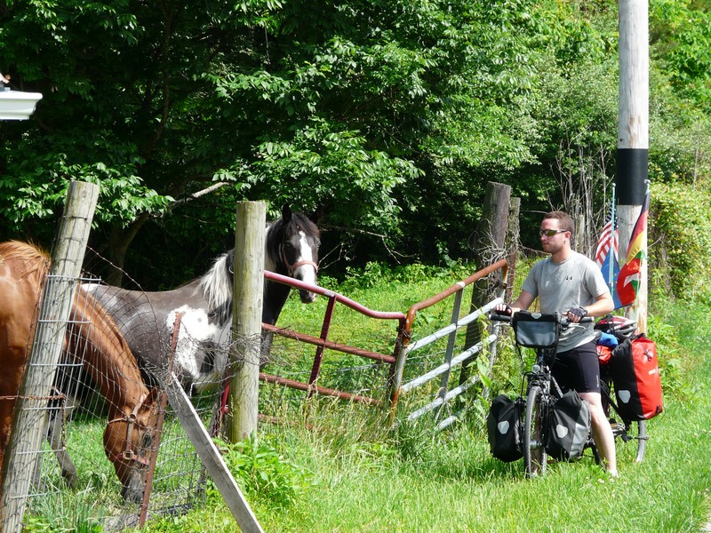 P1270643 7 Hens Farm