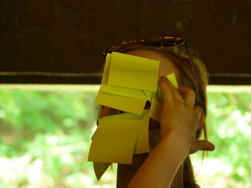 P1270713 face stickums