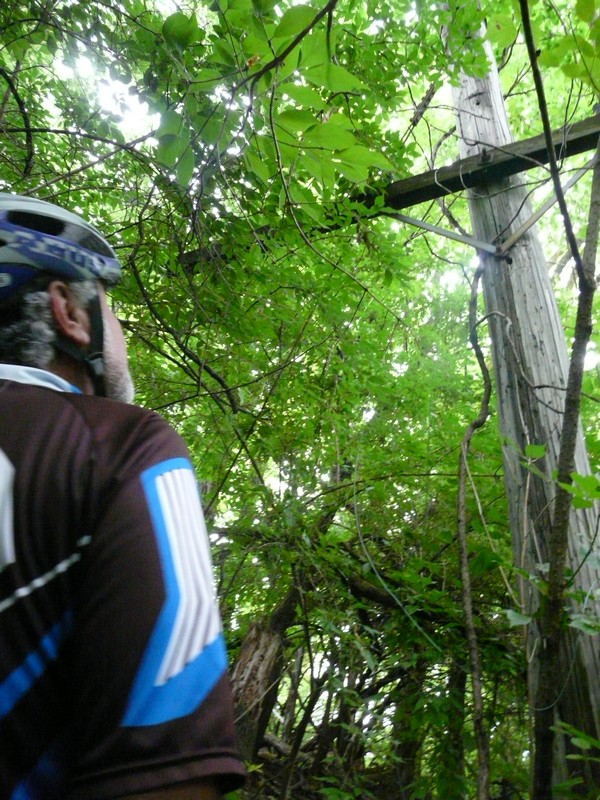 P1270834 Indy geo 2000