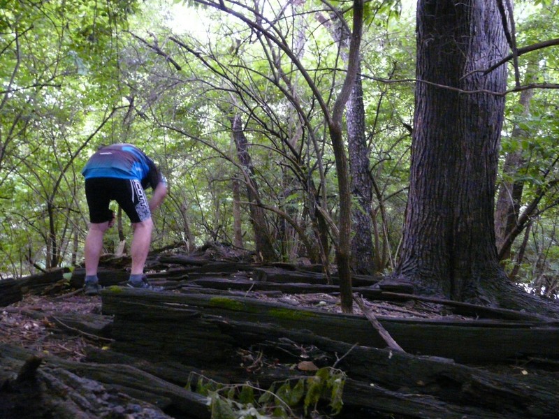 P1270838 Indy geo 2000