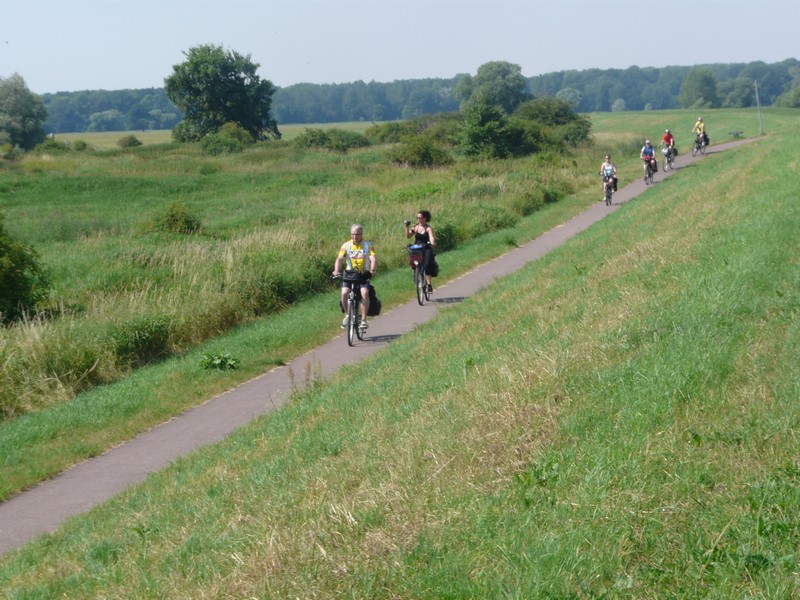 P1270972 Radweg Elbe