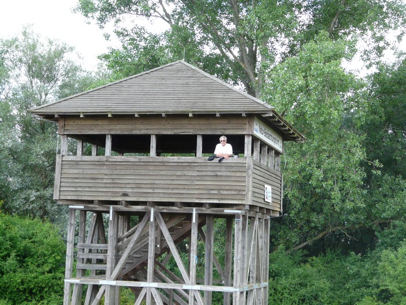 P1280095 Nature reserve near Tangerm�nde