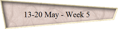 13-20 May - Week 5  