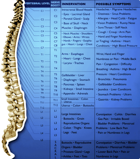 chiropractic2